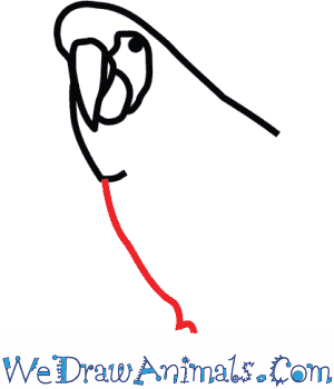 300x350 How To Draw A Scarlet Macaw