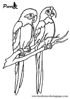 236x330 Macaw Clipart Parrot Drawing