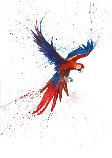 377x533 Scarlet Macaw Tattoos Parrot Tattoo, Parrot Drawing, Feather Art