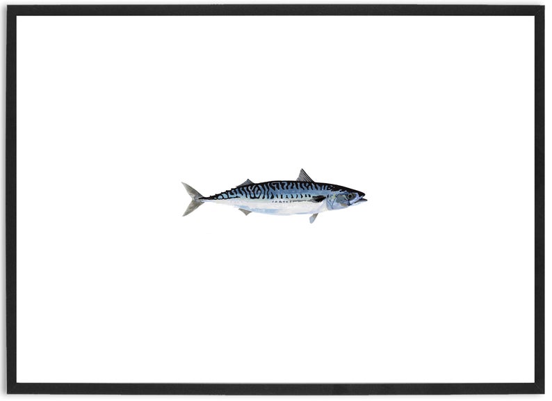 794x576 Mackerel Perfect Print For The Kitchen Or Bathroom Etsy