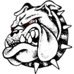 250x250 Mad Dog Transmissions