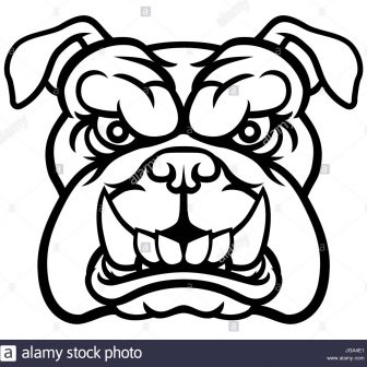 336x336 Angry Face Emoji Drawing Cat Wolf Mad Gorilla Bear Iydunetwork