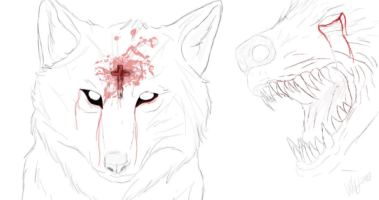 1229x650 Do Not Do It