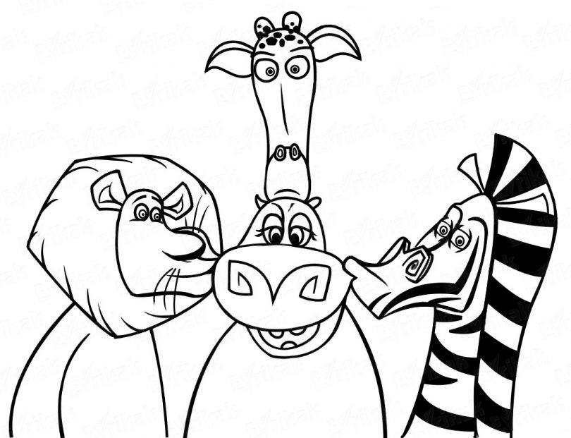 810x621 How To Draw The Characters From The Cartoon Madagascar Step