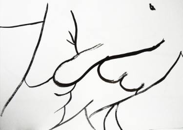 375x266 Pubis Drawing