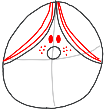 350x362 How To Draw Little Miss Magic From Mr Men In Easy Steps Drawing