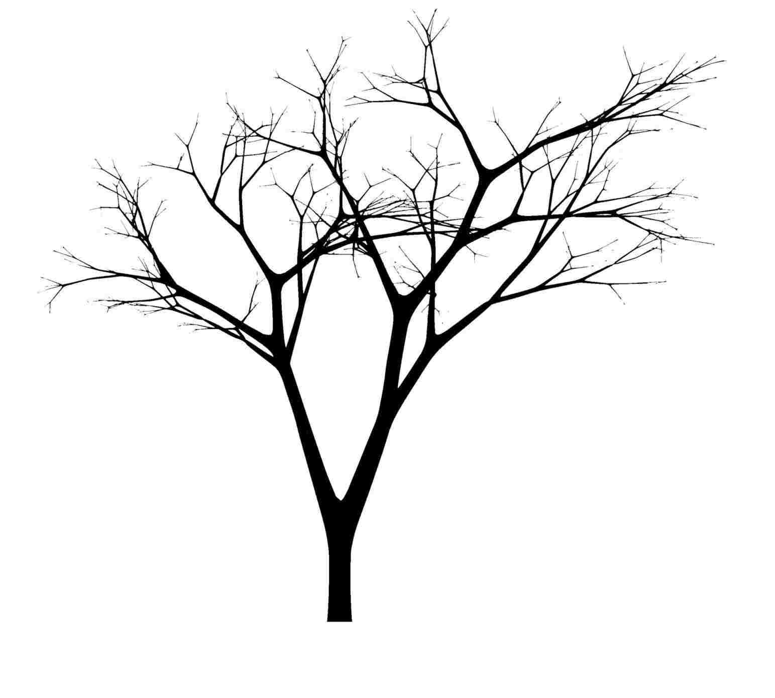 1543x1389 Drawing Branches In Photoshop