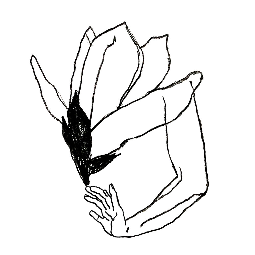 1000x1000 Magnolia Yang Sao Yia