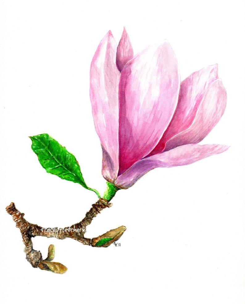 794x984 Spring Magnolia Ready To Frame Print Etsy