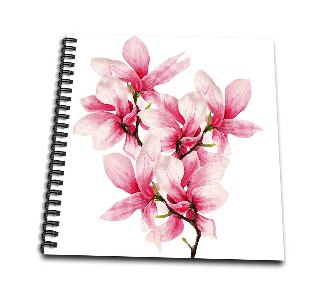 1070x973 Pretty Watercolor Magnolia Flowers Drawing Book
