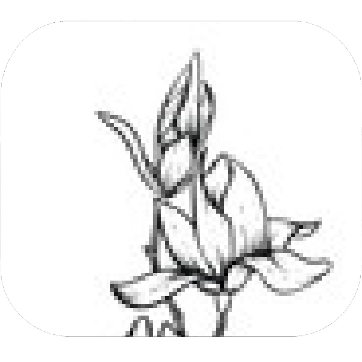 1200x1200 Designs Mein Mousepad Design Mousepad Selbst Designen