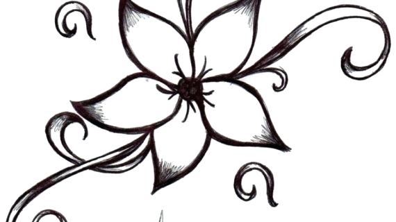 570x320 Black White Flower Drawings