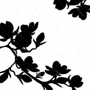 300x300 Card Silhouette Branch Magnolia Flower Blossom Vector Illustration