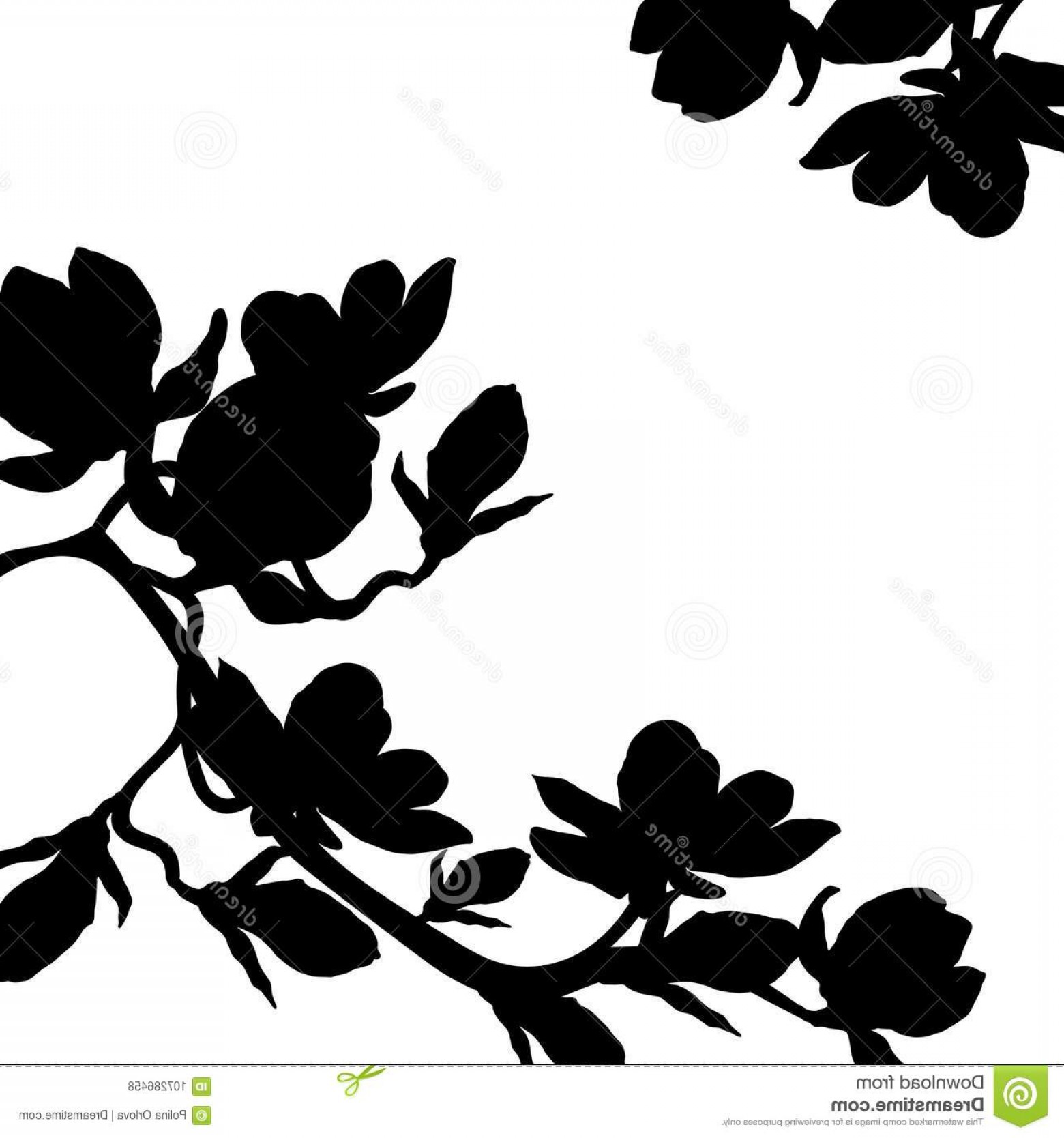 1560x1668 Card Silhouette Branch Magnolia Flower Blossom Vector Illustration