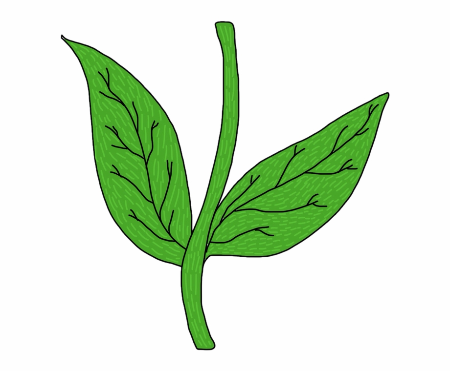 920x760 Collection Of Flower