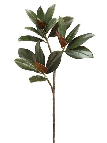 360x480 Dark Green And Brown Magnolia Leaf Spray Christmas