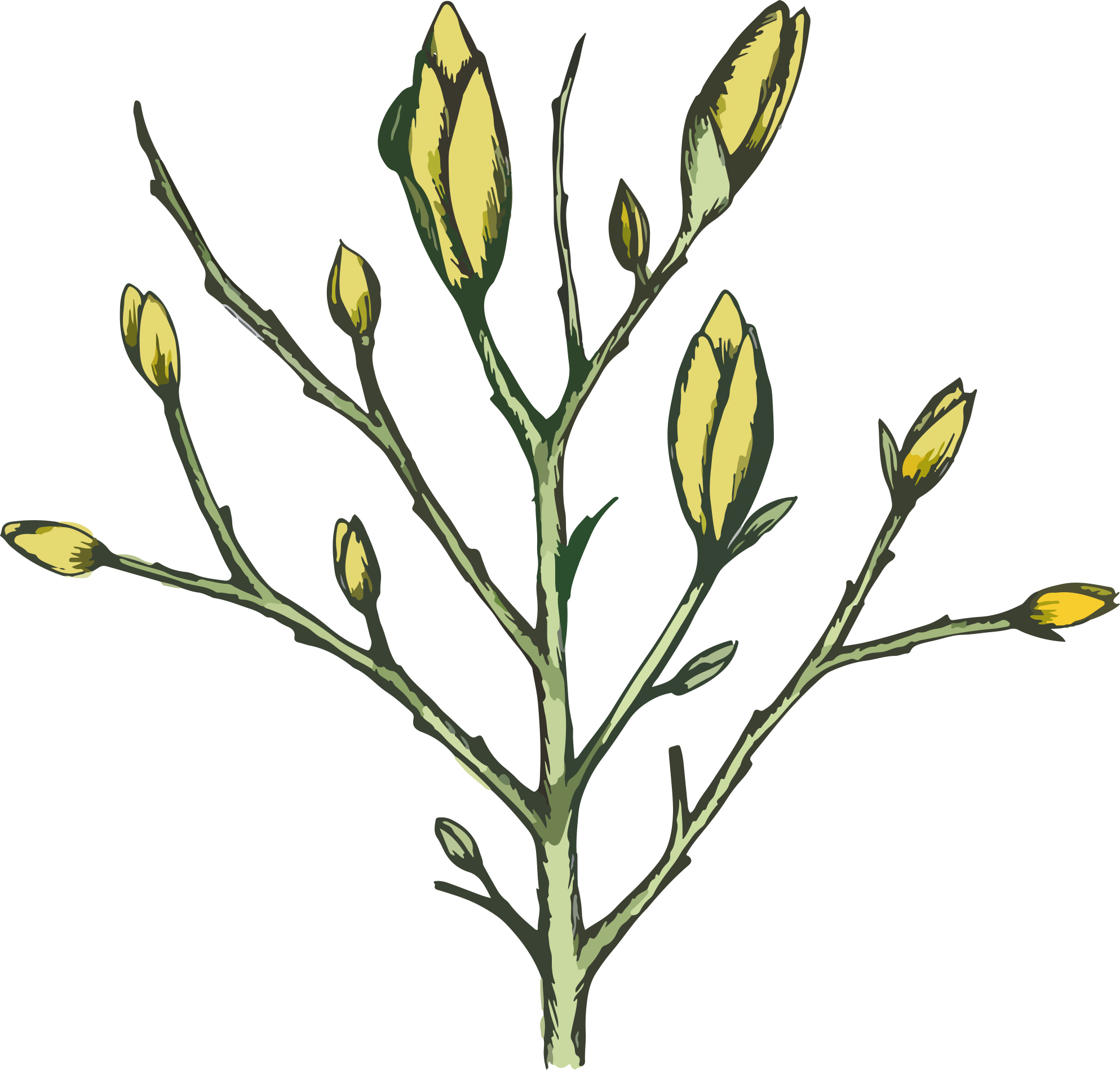 1987x1899 Katie Rudd