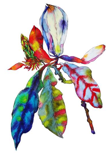 375x540 Magnolia Bloom Painting