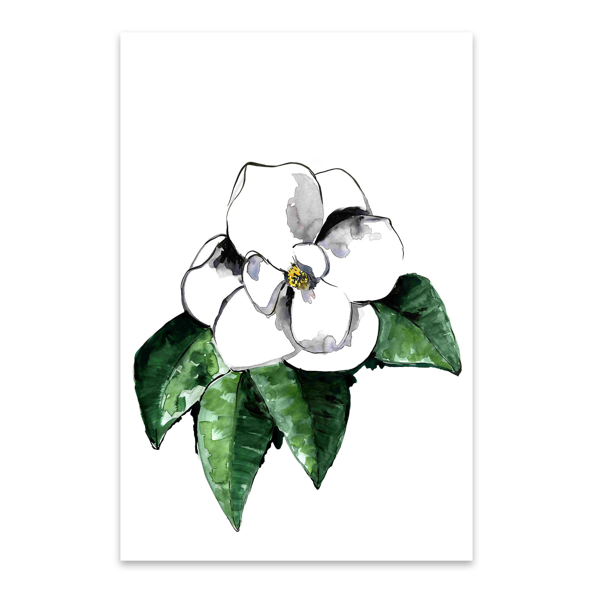 2000x2000 Watercolor Magnolia Flower Print, Canvas, Metal, Framed Wall Art