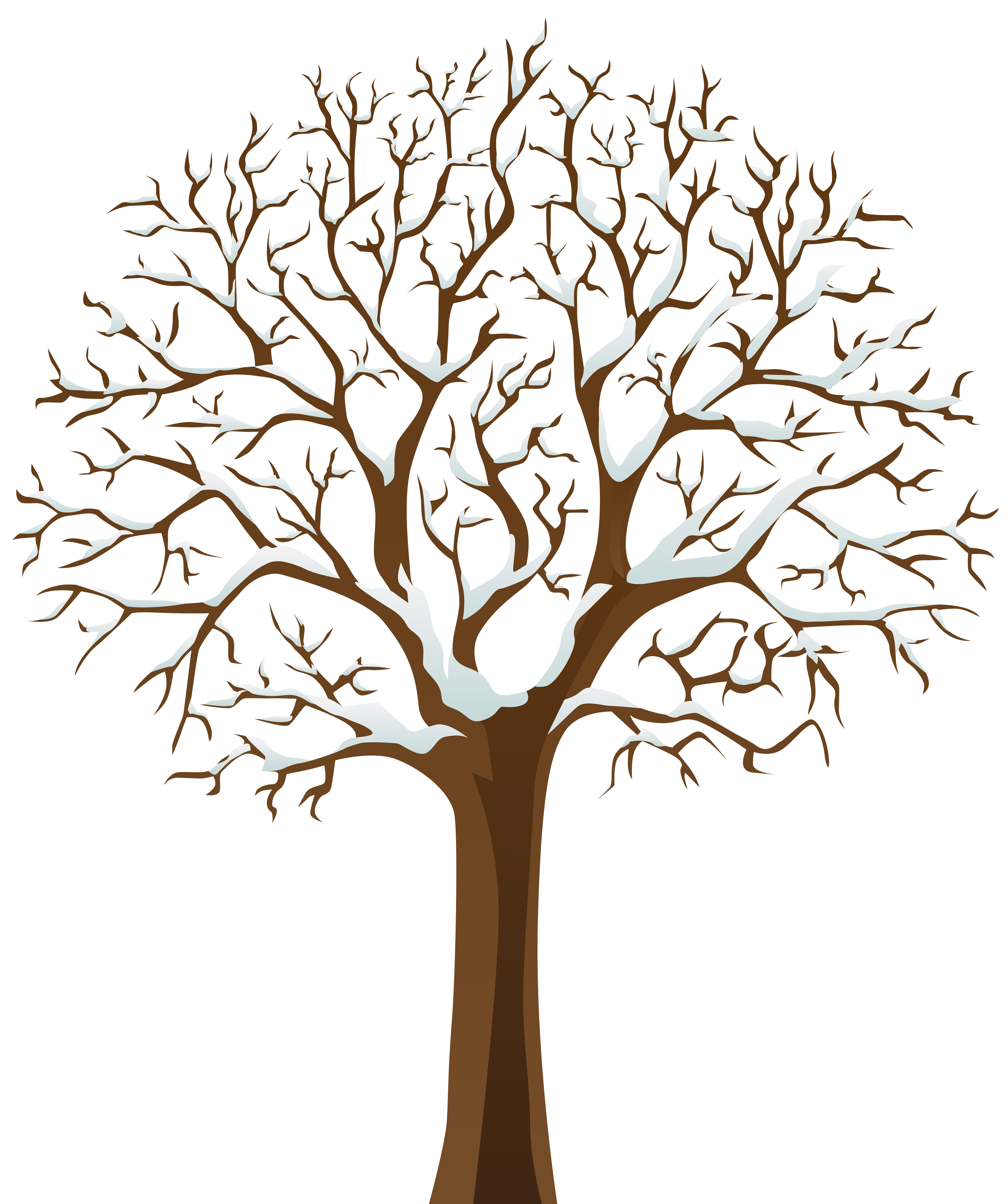 6700x8000 Bark Drawing Tree Transparent Png Clipart Free Download