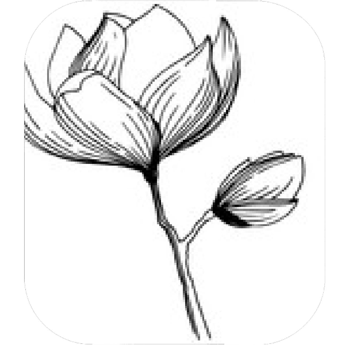 1200x1200 Designs Mein Mousepad Design Mousepad Selbst Designen