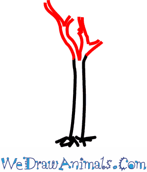 300x350 How To Draw A Magnolia Tree