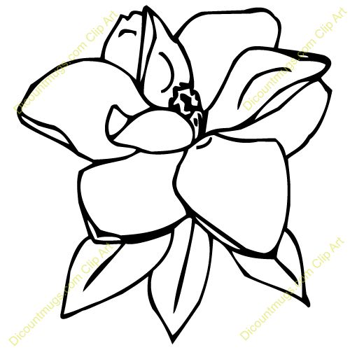 500x500 Magnolia Flower Clip Art Art