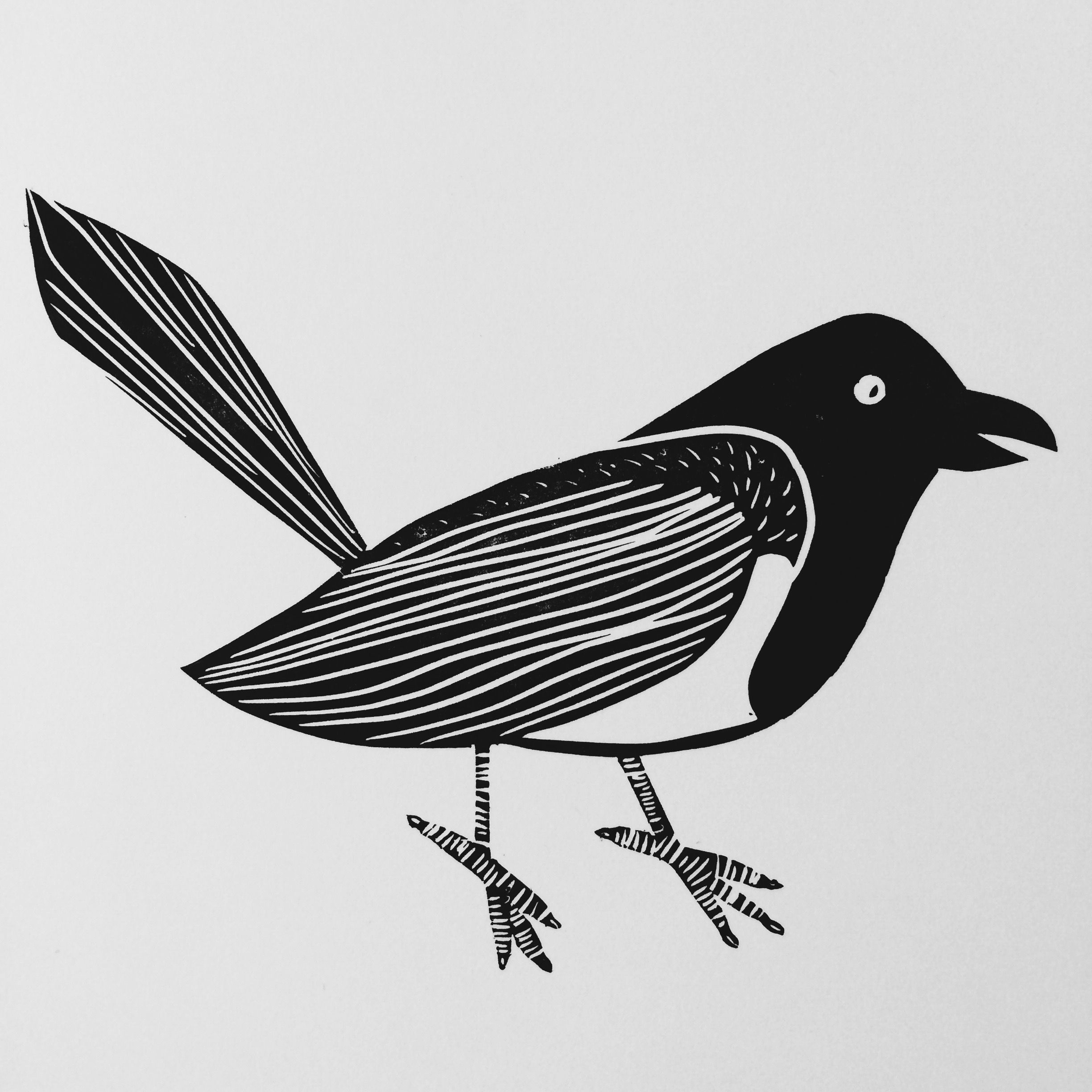 Magpie Drawing