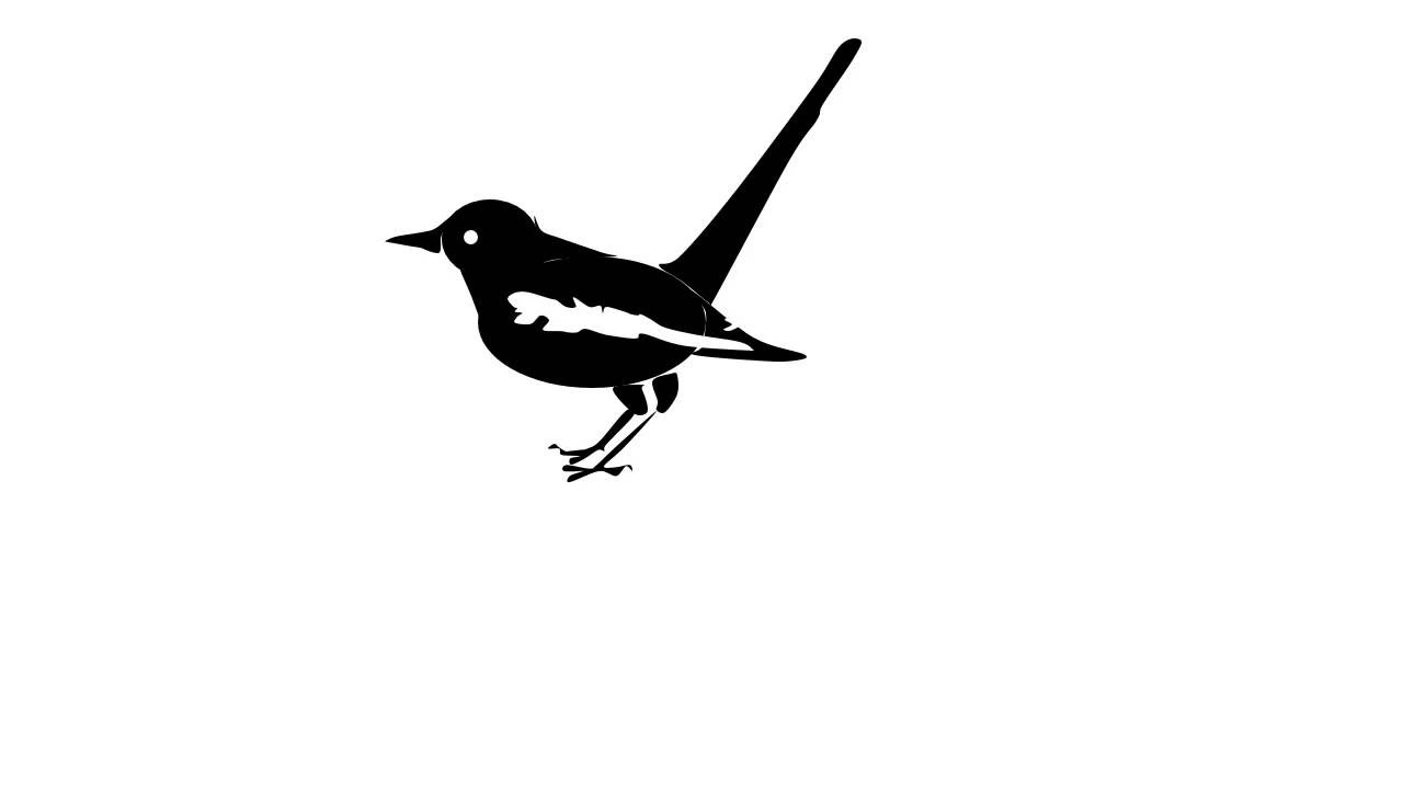 1280x720 how to draw a magpie