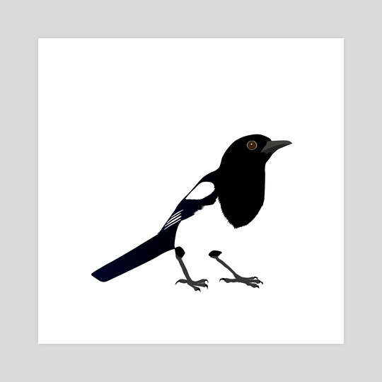 540x540 magpie, an art print