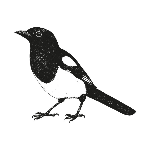 630x630 Magpie Pen Drawing