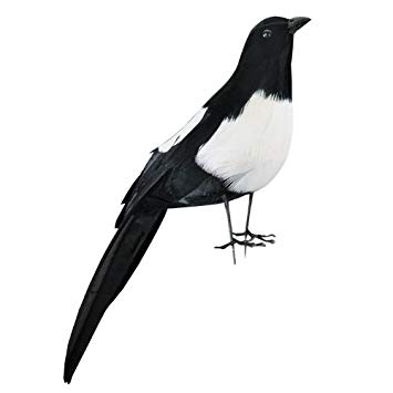 355x355 Replica Magpie