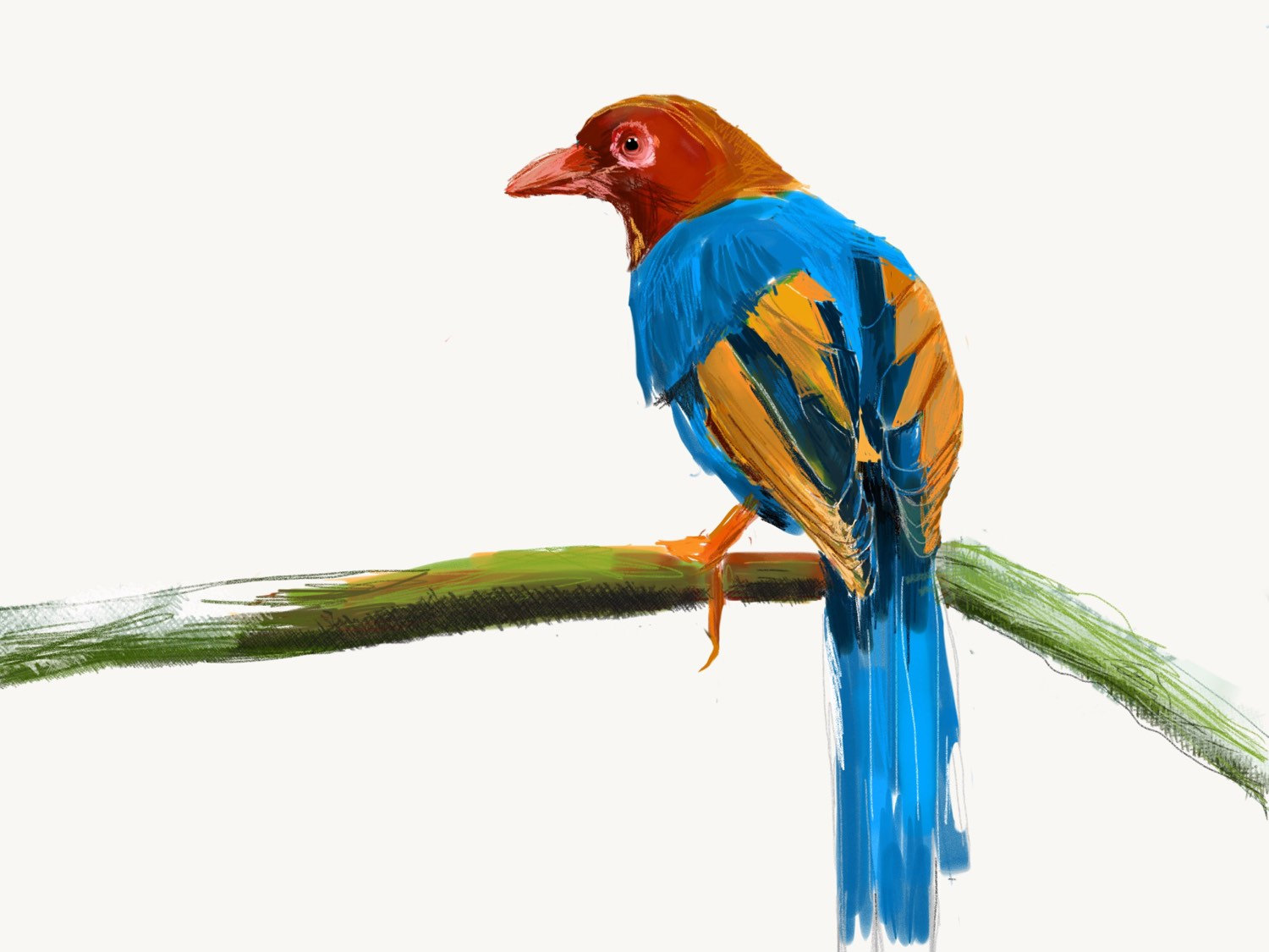 1500x1125 Sri Lanka Blue Magpie Print Bird Illustration Digital Etsy