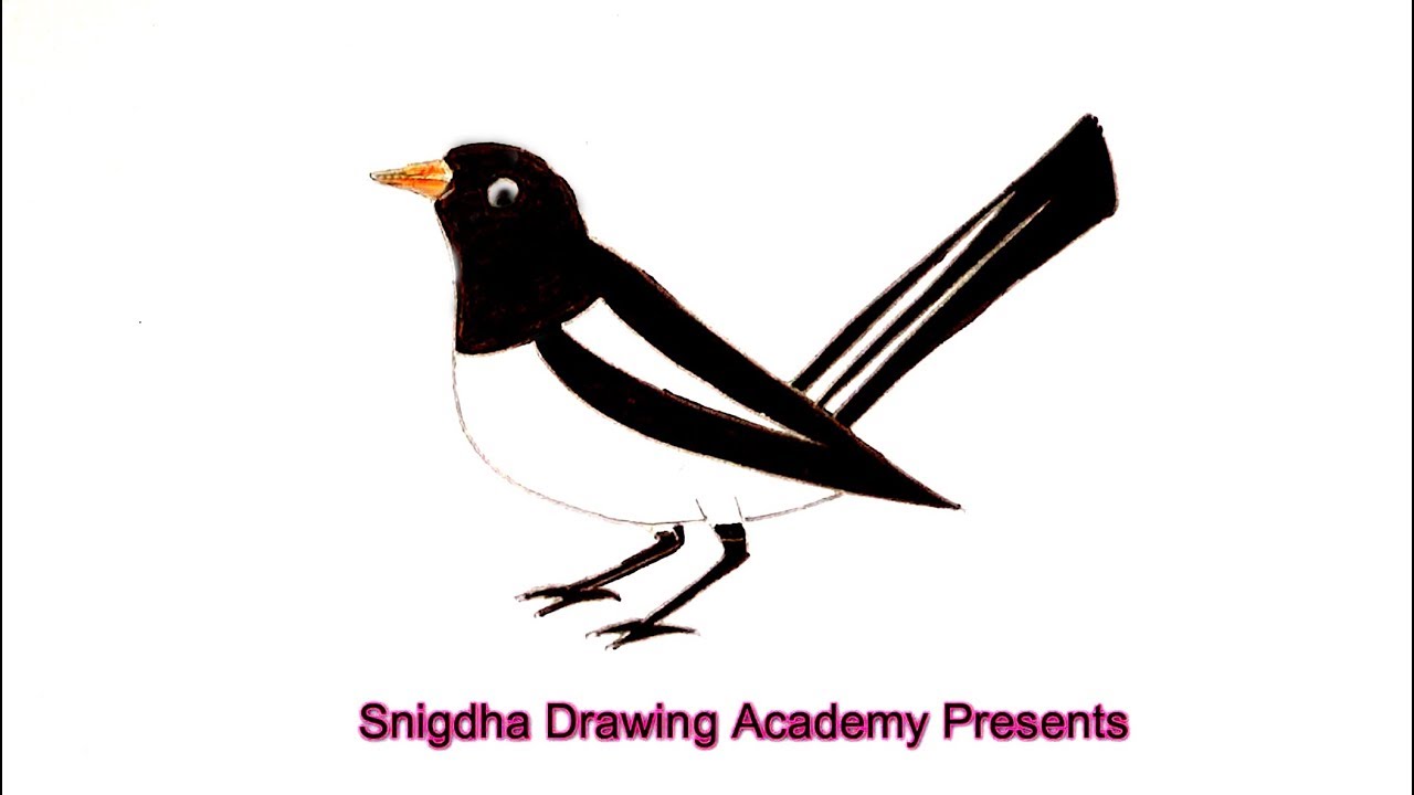 1280x720 how to draw a magpie bird step