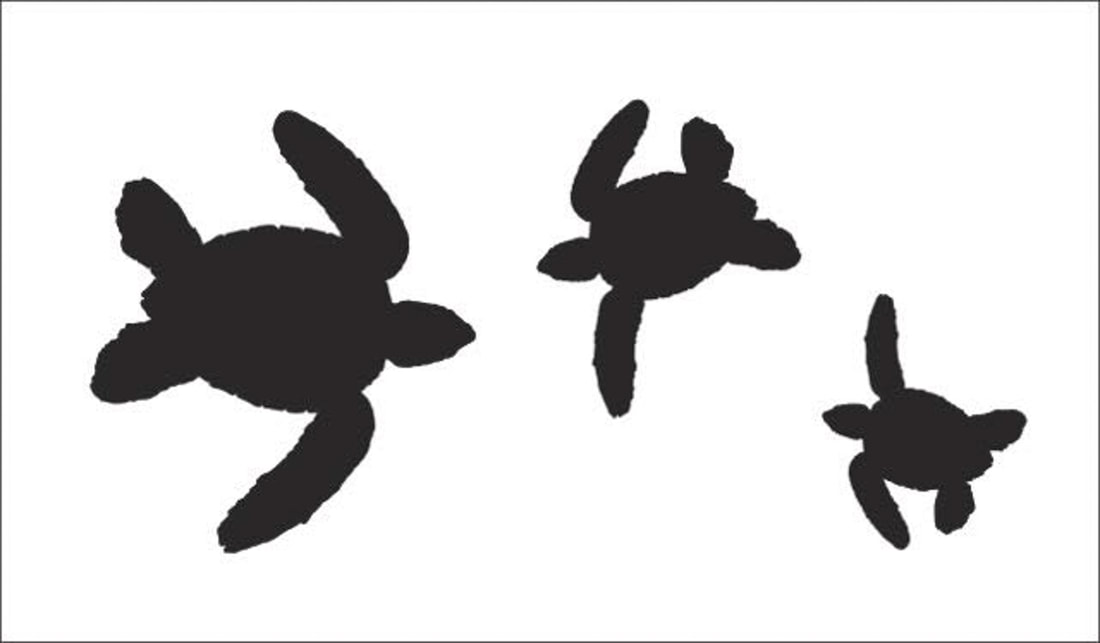 1100x643 Tale Of The Turtles