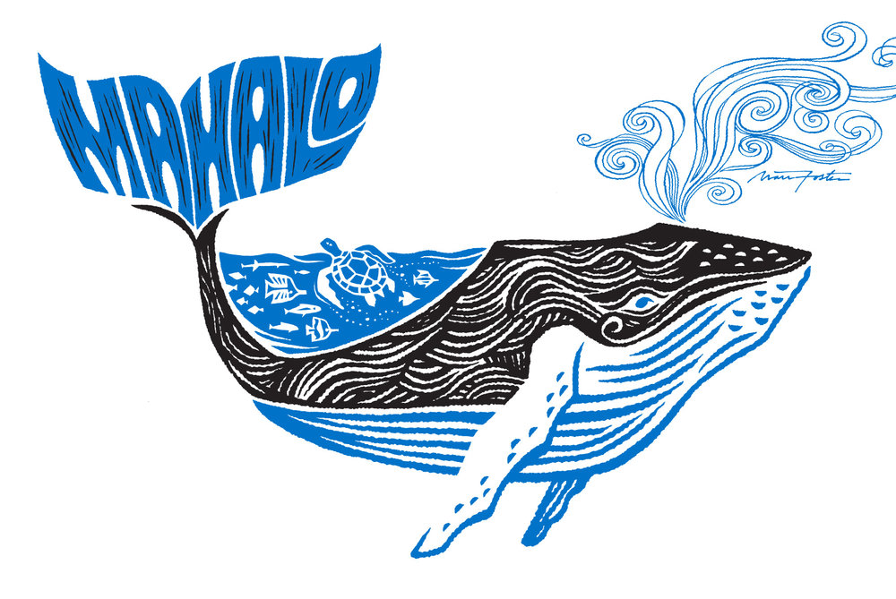 1000x669 Aloha Elements