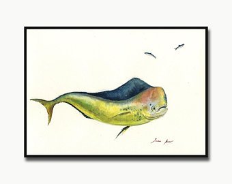 340x270 mahi mahi drawing etsy