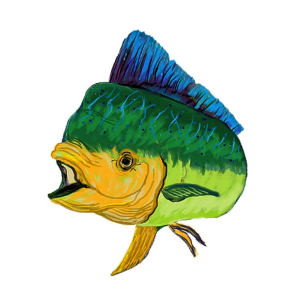 630x630 Today's Catch