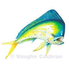 224x224 bonefish clip art