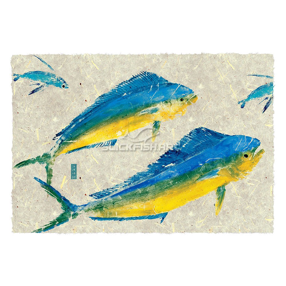 1000x1000 mahi mahi archives