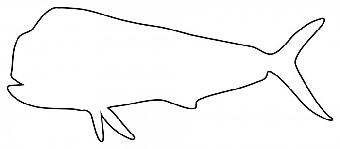 700x308 mahi mahi outline free outline drawing ideas