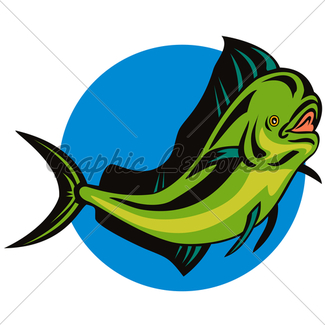325x325 mahi mahi dorado dolphin fish drawing gl stock images