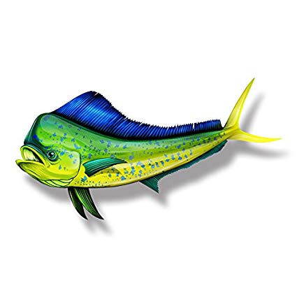 425x425 mahi mahi dolphin fish car motorcycle truck boat