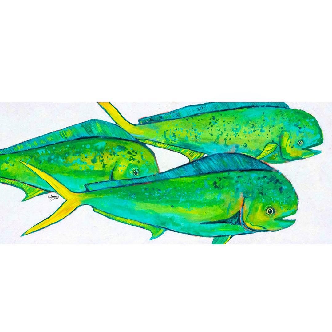 1080x1080 mahi mahi painting coastal catch