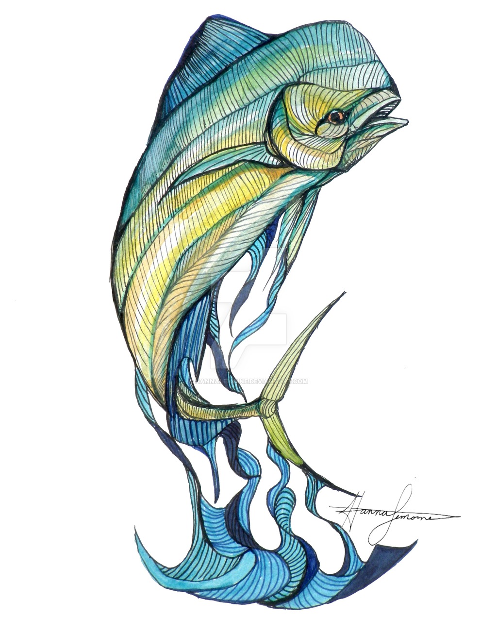1024x1271 mahi mahi
