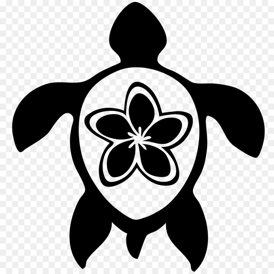 900x900 Turtle Drawing Hibiscus For Free Download