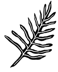 189x232 Rubber Stamp Plantation Your Source For Stamps, Stickers, Decals