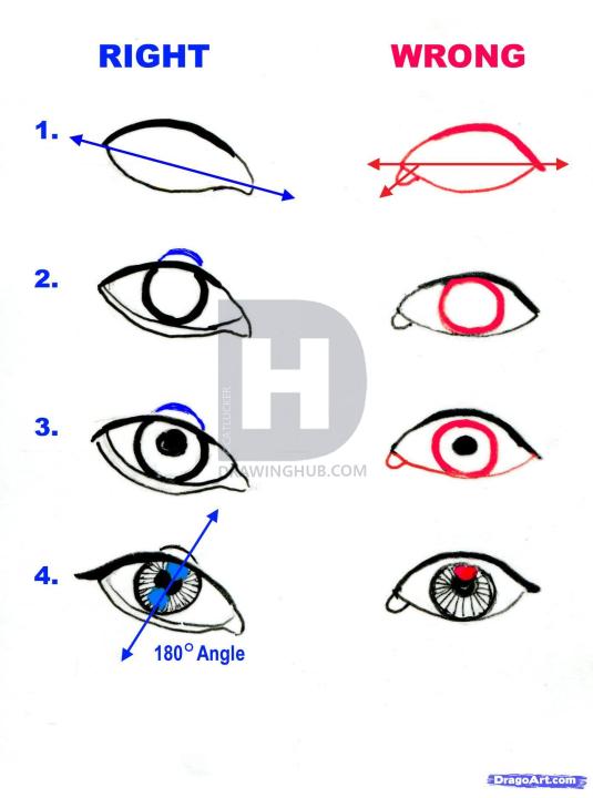 535x720 How To Sketch An Anime Face, Step