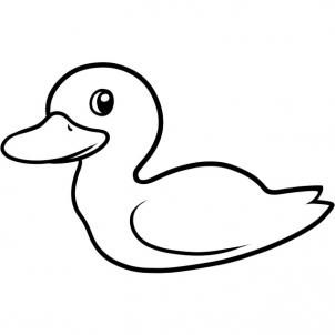 302x302 How To Draw How To Draw A Duck For Kids