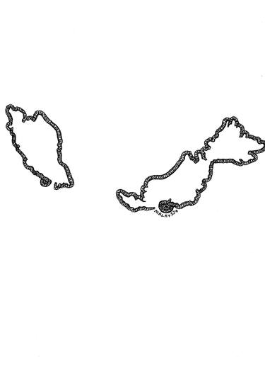 375x518 Malaysia Border Drawing
